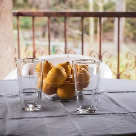 Dali Haz - Apartmanhazak - * Siofok